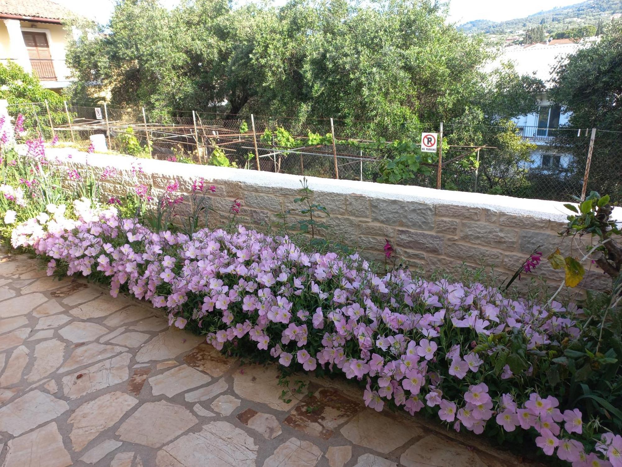 Oneiro House Lejlighed Kassiopi Eksteriør billede
